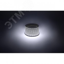 Лента светодиодная 14,4Вт/м 12В 6500К IP20 180LED/м LS2835-14,4-180-12-6500K-IP20-1 year-5m