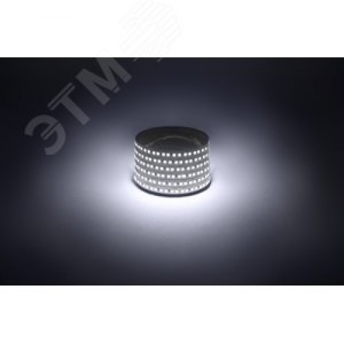 Лента светодиодная 14,4Вт/м 12В 6500К IP20 180LED/м LS2835-14,4-180-12-6500K-IP20-1 year-5m