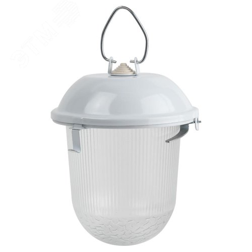 Светильник НСП 02-100-001 без решетки Желудь сталь / стекло IP54 E27 max 100Вт 170х260 белый