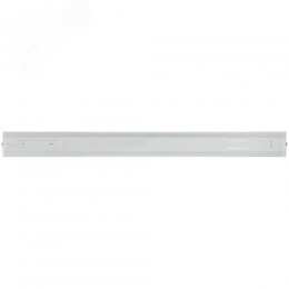 Светильник под 2хТ8 лампы с рассеивателем 1,2 м патрон G13 ДПО 11-2х18-001 (2/120)