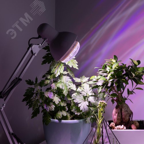 Лампа светодиодная лампа для растений тип BR30,15 Вт, 220-240V FITO-15W-Ra90-E27