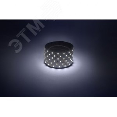 Лента светодиодная 4,8Вт/м 12В 6500К IP20 60LED/м LS2835-60LED-IP20-W-eco-5м