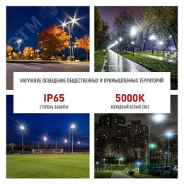 Светильник уличный светодиодный ДКУ 100Вт 5000К 10000Лм КСС Ш 48мм SPP-503-0-50K-100
