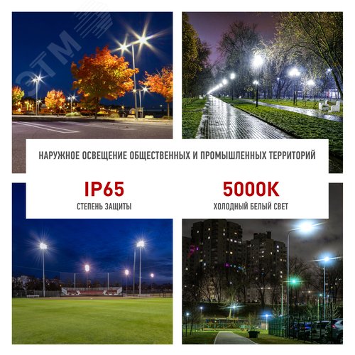 Светильник уличный светодиодный ДКУ 100Вт 5000К 10000Лм КСС Ш 48мм SPP-503-0-50K-100