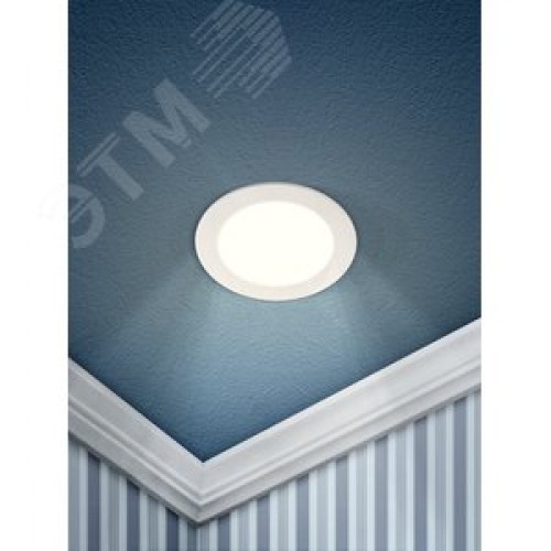 Светильник светодиодный ДВО-9W 4000К 360Лм d=146мм IP20 круглый