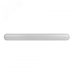 Светильник светодиодный линейный IP65 18Вт 1710Лм 4000К 600мм мат SPP-201-0-40K-018