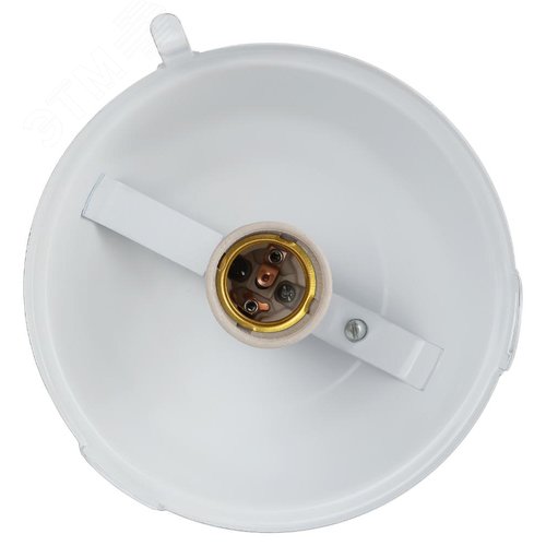 Светильник НСП 02-100-001 без решетки Желудь сталь / стекло IP54 E27 max 100Вт 170х260 белый