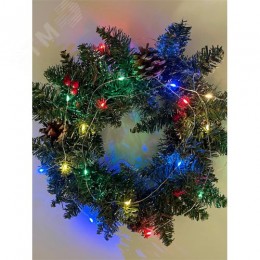 ENIN-2M Гирлянда LED Нить 2 м мультиколор, АА, IP20 (120/4800)