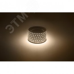 Лента светодиодная 9,6Вт/м 12В 3000К IP20 120LED/м LS2835-120LED-IP20-WW-eco-5м