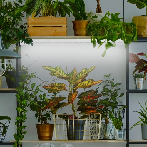 Лампа светодиодная полноспектральная Т8 с красными и белыми светодиодами для профессионального выращивания растений FITO-18W-Ra90-Т8-G13-NL