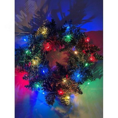 ENIN-2M Гирлянда LED Нить 2 м мультиколор, АА, IP20 (120/4800)