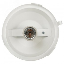 Светильник НСП 02-100-001 без решетки Желудь сталь / стекло IP54 E27 max 100Вт 170х260 белый