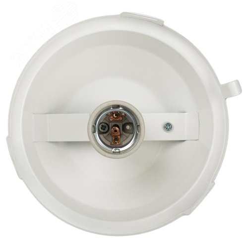 Светильник НСП 02-100-001 без решетки Желудь сталь / стекло IP54 E27 max 100Вт 170х260 белый