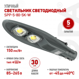Светильник светодиодный уличный консольный ДКУ 80 Вт 5000К 12000Лм IP65 КСС Ш IC-COB 48-60мм SPP-5-80-5K-W