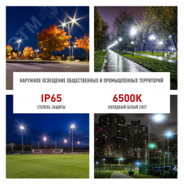 Прожектор светодиодный ДО-30 Вт 6500К 3000 Лм IP65 черный 30w холодный 190-265В LPR-062-0-65K-030