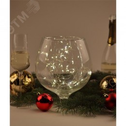 Гирлянда LED Нить 5 м теплый свет, АА ENIN -5NW