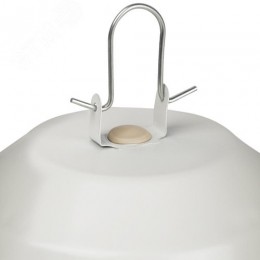 Светильник НСП 02-100-001 без решетки Желудь сталь / стекло IP54 E27 max 100Вт 170х260 белый