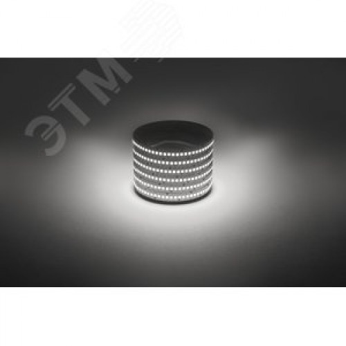 Лента светодиодная 19,2Вт/м 12В 4000К IP20 240LED/м LS2835-19,2-240-12-4000K-IP20-1 year-5m