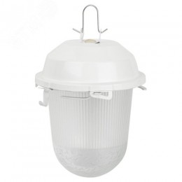 Светильник НСП 02-100-001 без решетки Желудь сталь / стекло IP54 E27 max 100Вт 170х260 белый