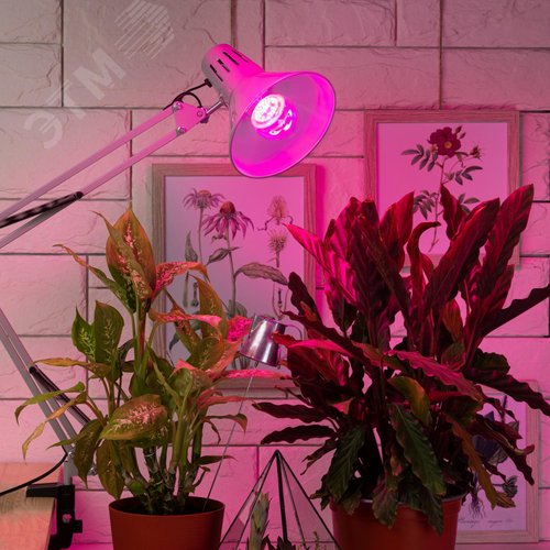 Лампа для растений FITO-14W-RB-E27