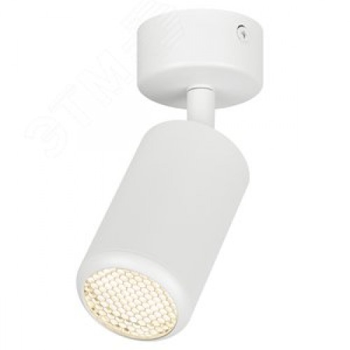 Светильник настенно-потолочный спот IP20 белый OL55 WH MR16 GU10