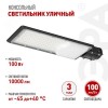 Светильник уличный светодиодный ДКУ 100Вт 5000К 10000Лм КСС Ш 48мм SPP-503-0-50K-100