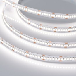 Лента светодиодная 19,2 Вт/м 24В IP20 4000K 240LED/м RT-A240-10mm SMD 3528 5 м