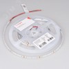 Лента светодиодная 9.6 Вт/м 24В 6000K IP68 120LED/м NT-A120-8mm SMD 3528 5 м