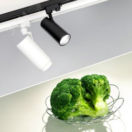 Экран матовый PIK-2000 OPAL (ARL, Пластик)