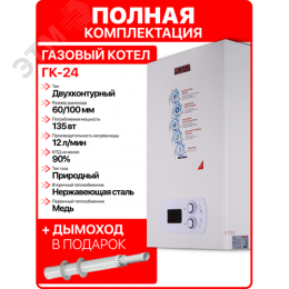 Котел газовый ГК-24 настенный 24 кВт двухконтурный+комплект дымохода D60-100 L 1000 мм