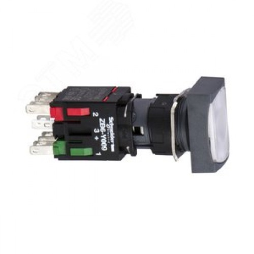 Кнопка  XB6DW1B5B