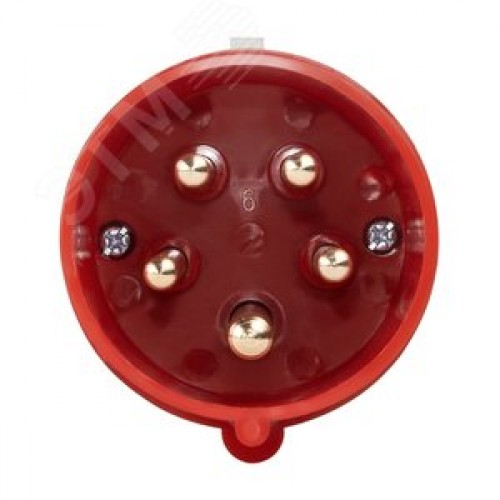 Вилка 025-32А-6h-380AC-3P+PE+N-IP44