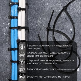 Хомут-стяжка кабельная нейлоновая PROconnect 200x2,5 мм, черная, 100 шт