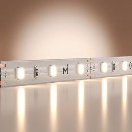 Лента светодиодная 4,8Вт/м 12В 4000K IP20 60 LED/м