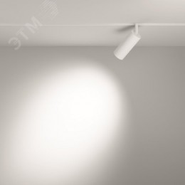 Светильник трековый Focus Led Exility 4000K 12Вт 24 град