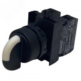 Переключатель 2-0-1 (1НО+1НО), с фиксацией, серия CP (250В AC, 4А), IP65