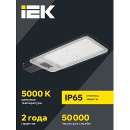 Светильник светодиодный консольный ДКУ 1011-200Ш 5000К IP65 IEK