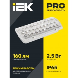 Светильник аварийный ДПА 2105-С централизованного питания 24/220В IP65 IEK