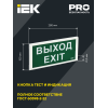 Светильник аварийный ДПА 3000 постоянного/непостоянного действия 3ч IP20 IEK