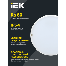 Светильник светодиодный ЖКХ ДПО 2002 12Вт 4000K IP54 круг белый IEK