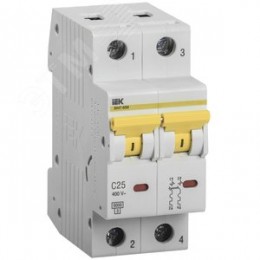 Выключатель автоматический ВА47-60M 2Р 25А 6кА С