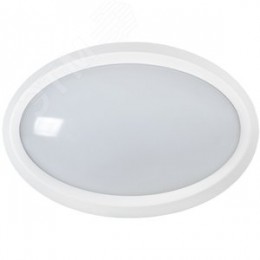 Светильник светодиодный ДПО 5020 8 Вт 4000K IP65 овал белый