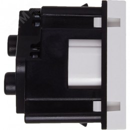 Розетка 45град с заземляющим контактом без защитной шторки и винтовым зажимом (2 модуля) белая