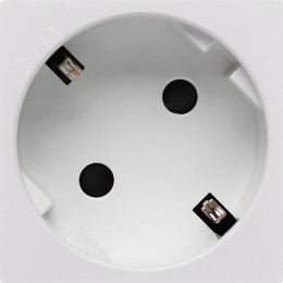 Розетка 45град с заземляющим контактом защитной шторкой и винтовым зажимом (2 модуля) белая