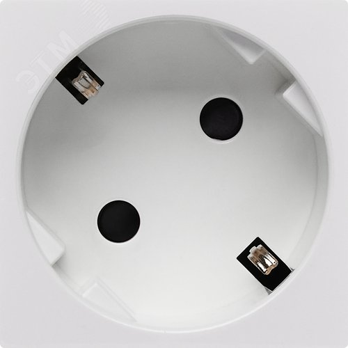 Розетка 45град с заземляющим контактом защитной шторкой и винтовым зажимом (2 модуля) белая