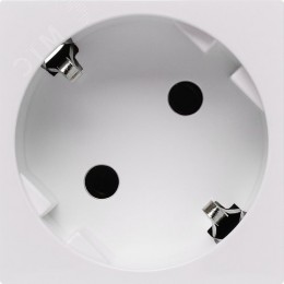 Розетка 45град с заземляющим контактом без защитной шторки и безвинтовым зажимом (2 модуля) белая