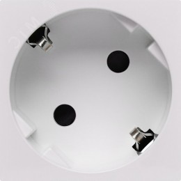 Розетка 45град с заземляющим контактом защитной шторкой и безвинтовым зажимом (2 модуля) белая