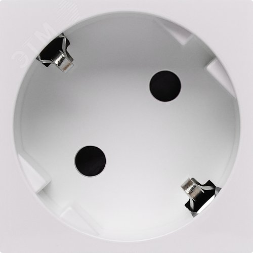 Розетка 45град с заземляющим контактом защитной шторкой и безвинтовым зажимом (2 модуля) белая