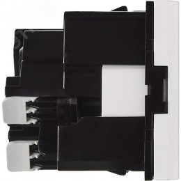 Розетка 45град с заземляющим контактом защитной шторкой и безвинтовым зажимом (2 модуля) белая