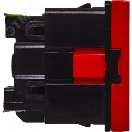 Розетка с заземляющим контактом без защитной шторки и безвинтовым зажимом (2 модуля) красная